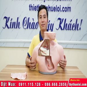 Mô Hình Đặt Catheter Tĩnh Mạch Cảnh Trong