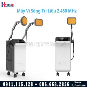 Thiết Bị Vi Sóng Trị Liệu AMT Haobro 