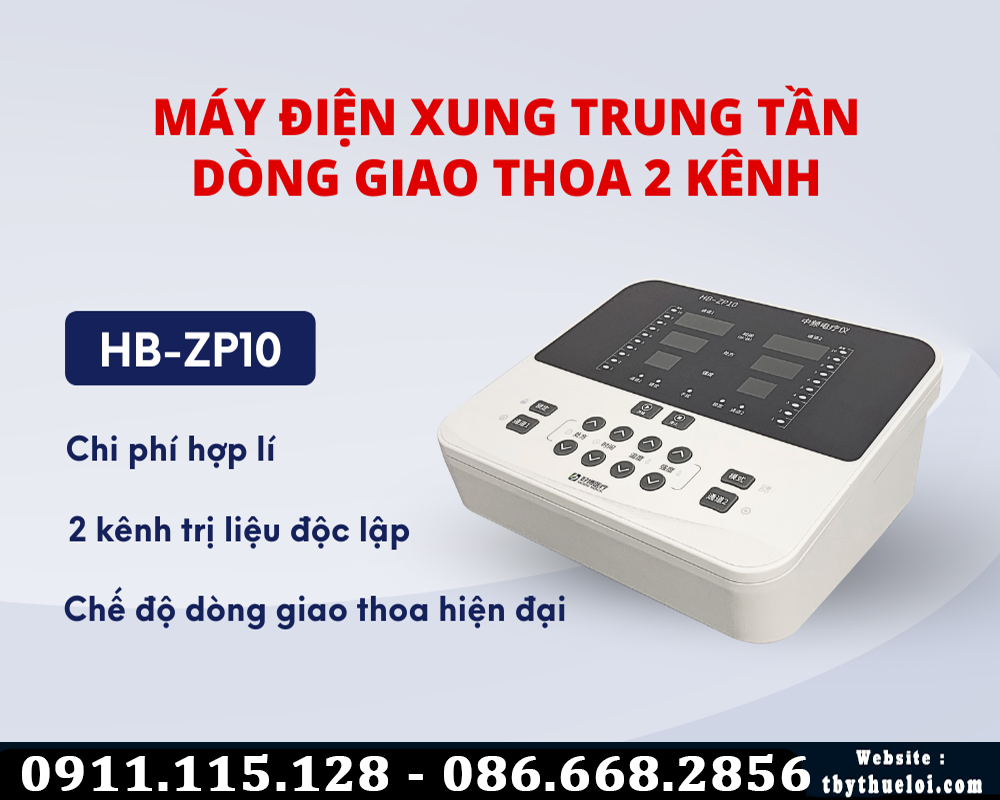 HB-ZP10 máy điện xung 2 kênh