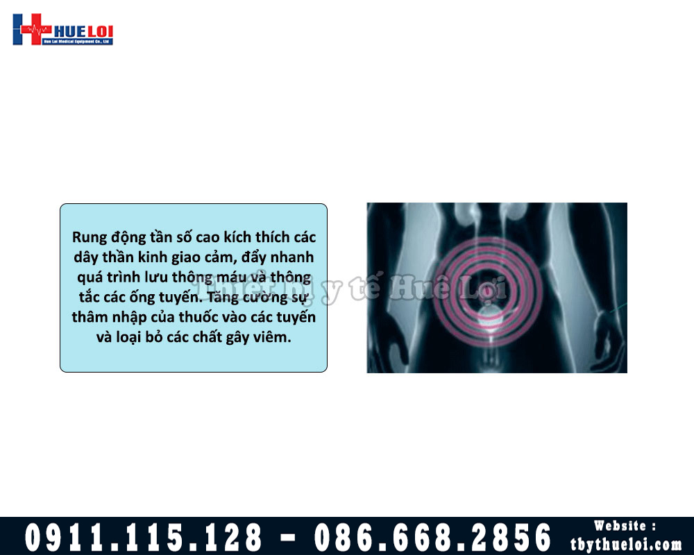 công nghệ từ trường máy điều trị bệnh lý tuyến tiền liệt