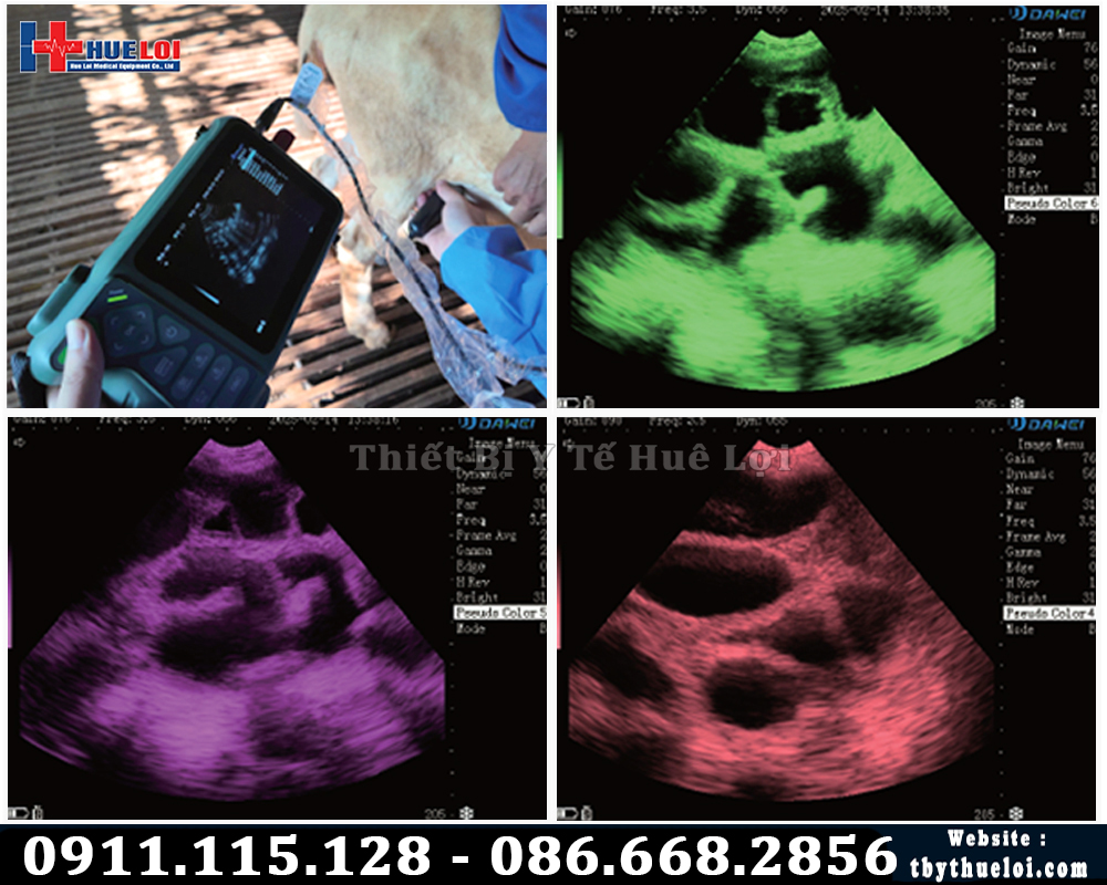 máy siêu âm cho lợn