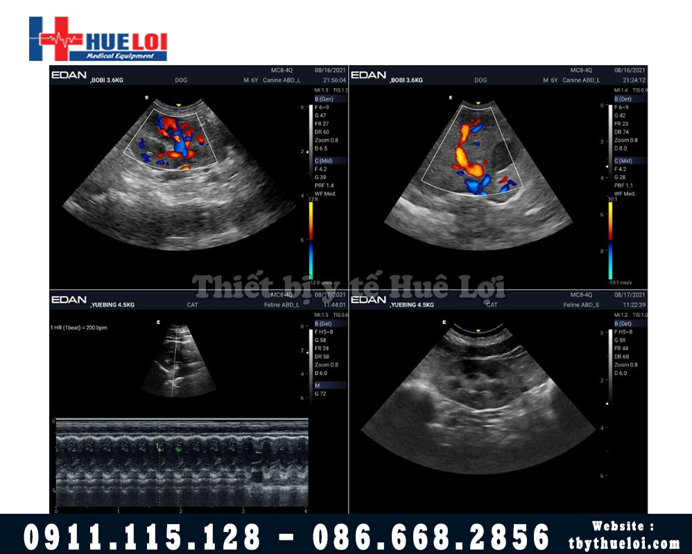 chất lượng hình ảnh máy siêu âm chó mèo giá rẻ