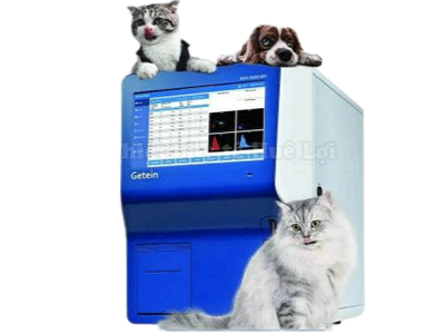 Thiết Bị Thú Y Huê Lợi