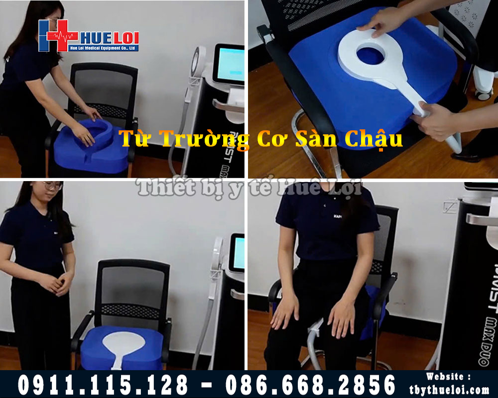 từ trường cơ sàn chậu